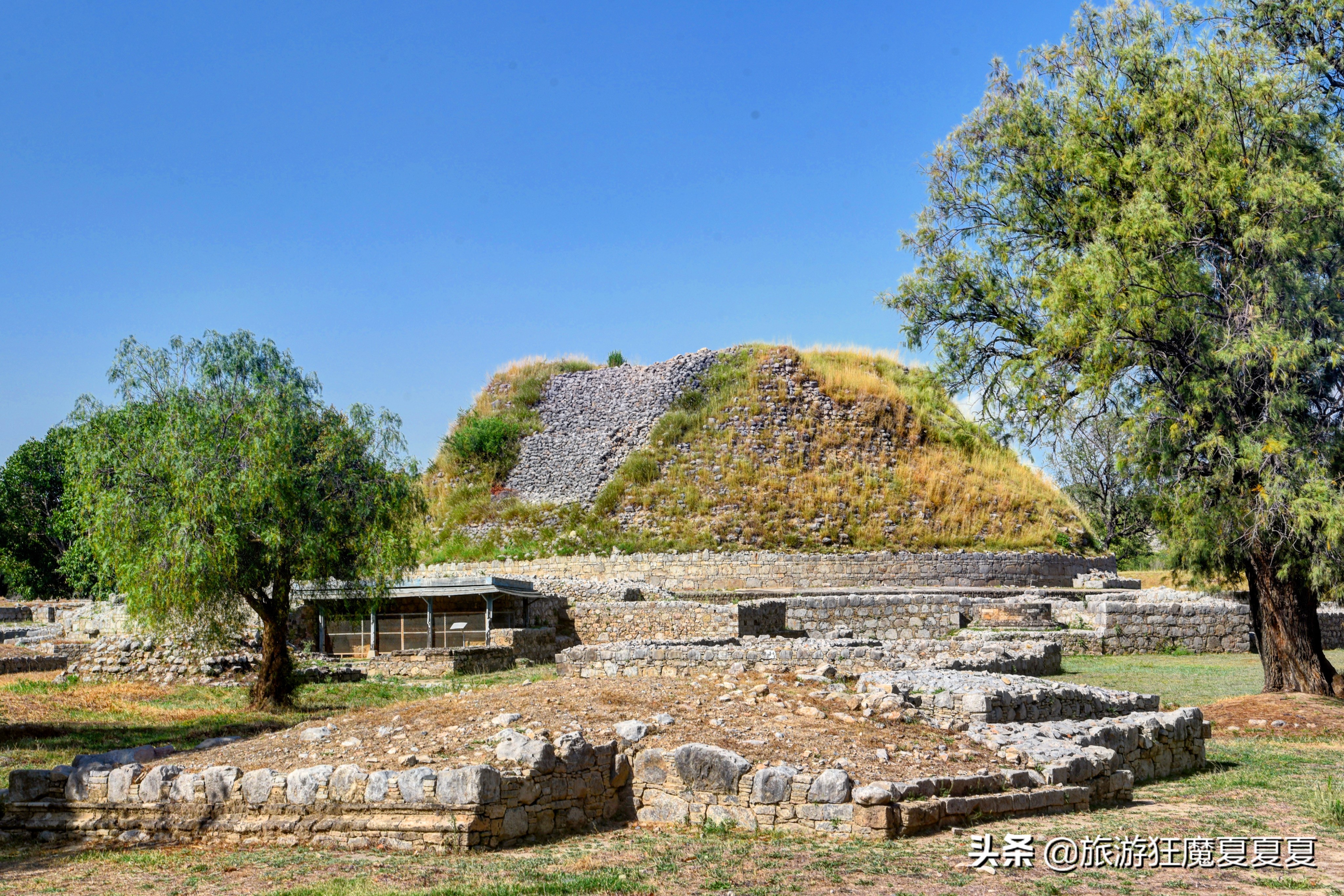 玄奘法师大雁塔采访,玄奘寺探访