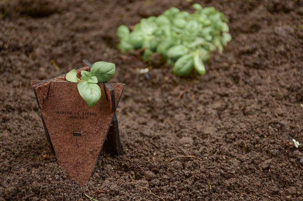 爱护地球环保主题手工,地球环保设计