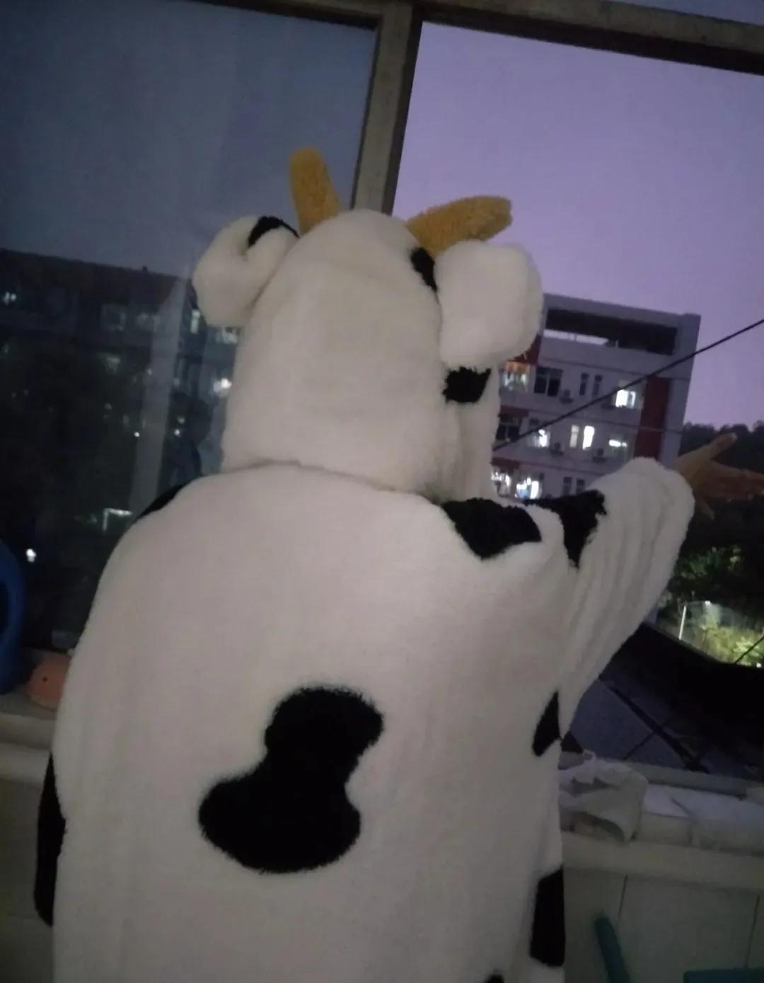 宿舍社交攻略,社交关系怎么做好