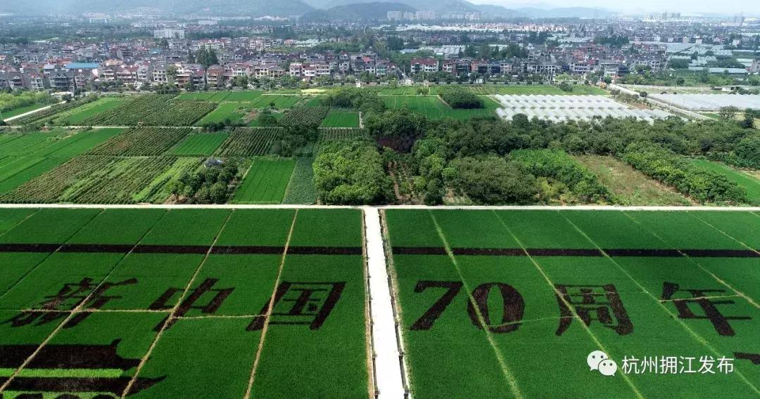 钱塘江画卷,钱塘江画作