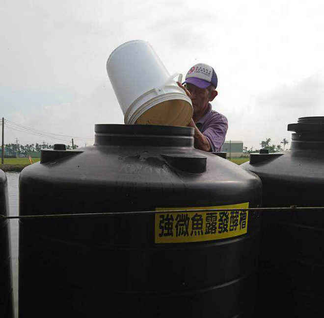 判断发酵状态,发酵鱼露的正确使用方法