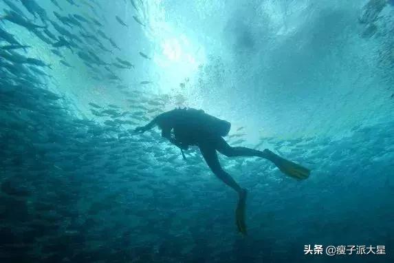 魔都森林彩虹滑梯视频,打卡魔都热气球