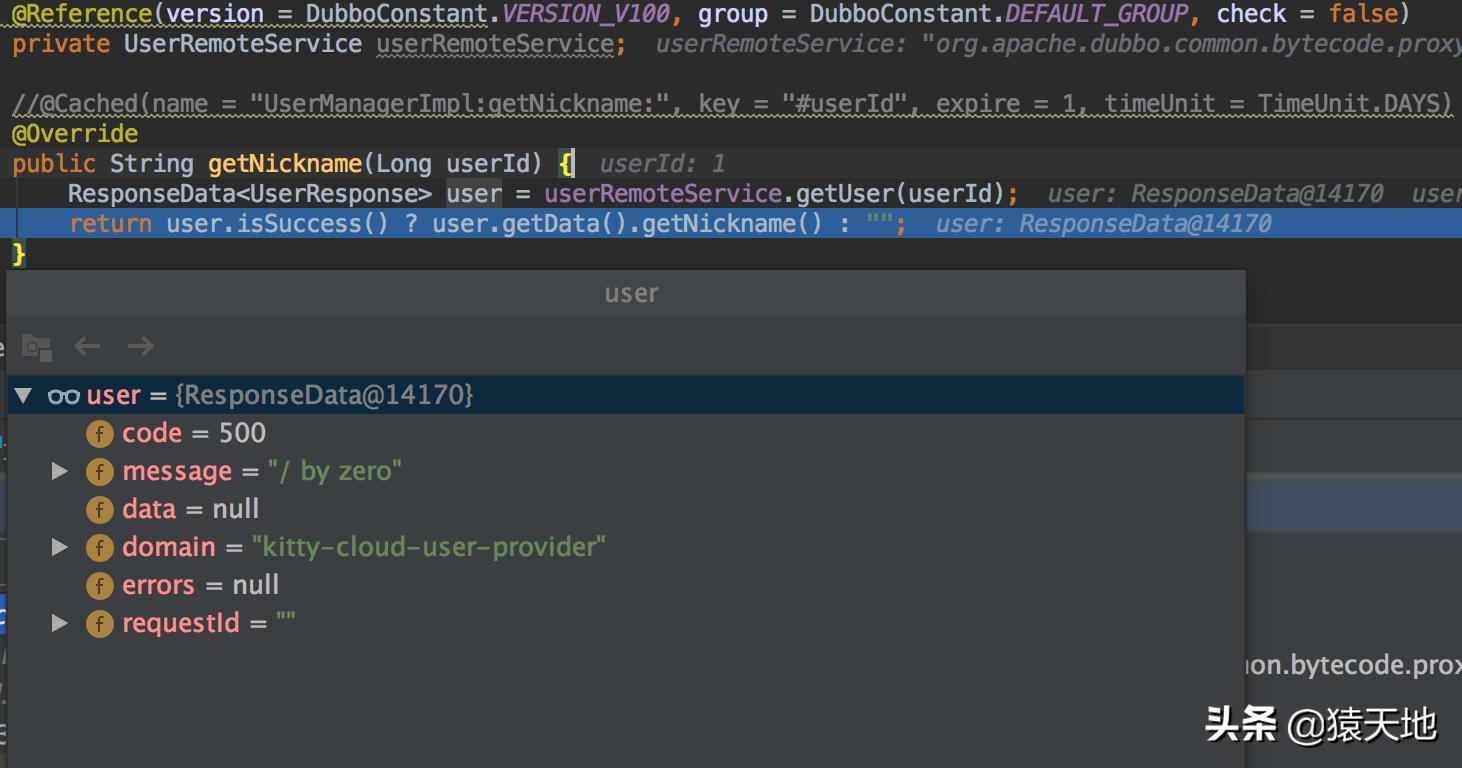 KittyCloud,HTTP/RPC的全局异常处理
