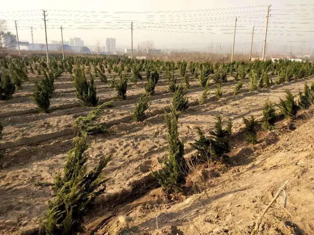 峰峰矿区哪个乡镇最好,峰峰美丽乡村都有哪些
