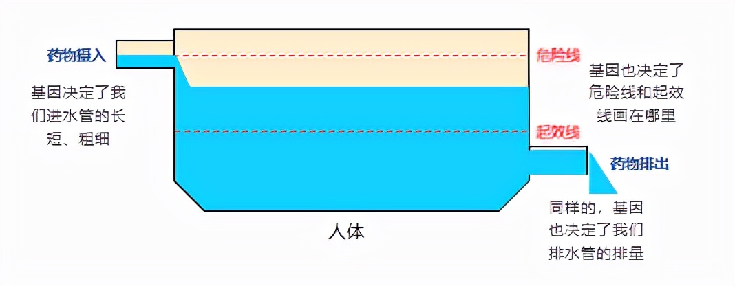 基因检测精准用药国际最高标准,抗抑郁精准用药基因检测报告