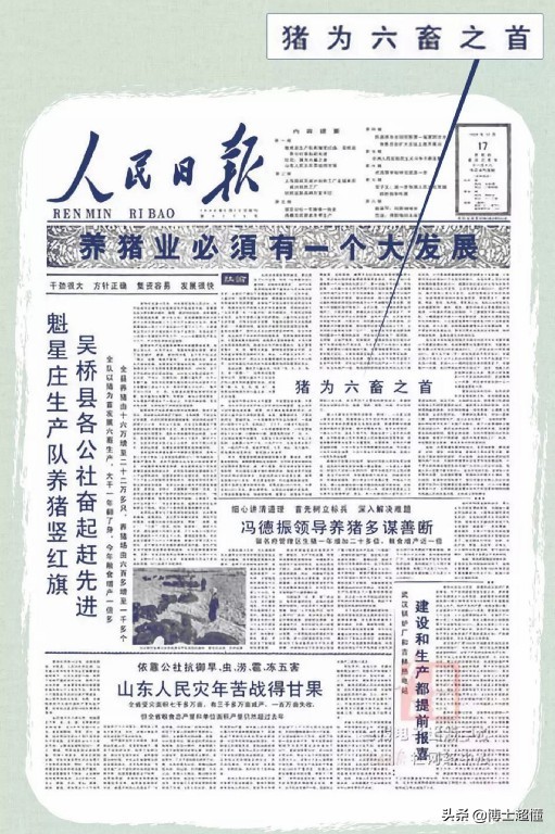 美国控制了中国养猪业吗,中国生猪被美国垄断吗