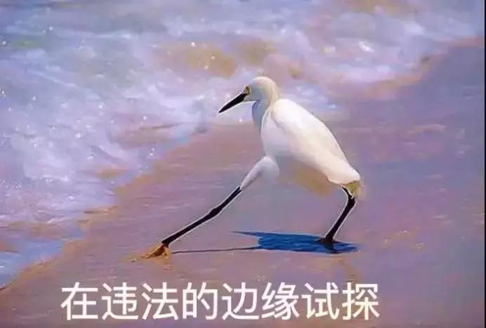 抖音上的美牙神器有用吗,使用美牙仪的抖音网红