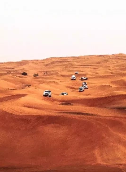 靠捡垃圾成为千亿富豪,靠捡垃圾成为千亿富翁合集