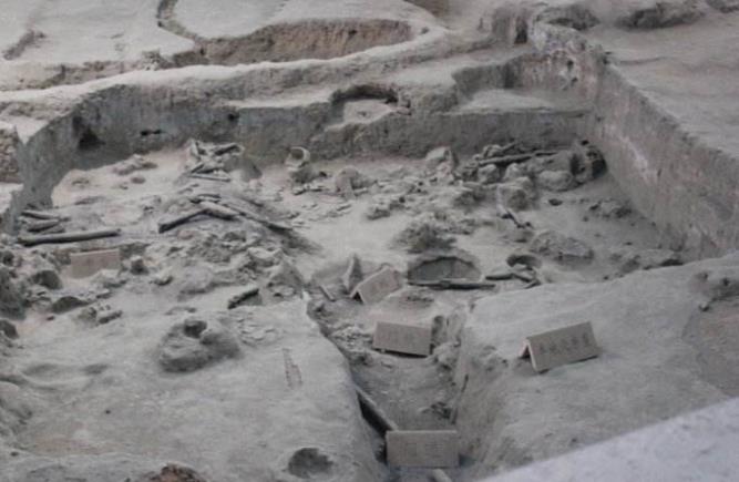 人类的祖先是怎样生活的60字,人类祖先最早发明的房子