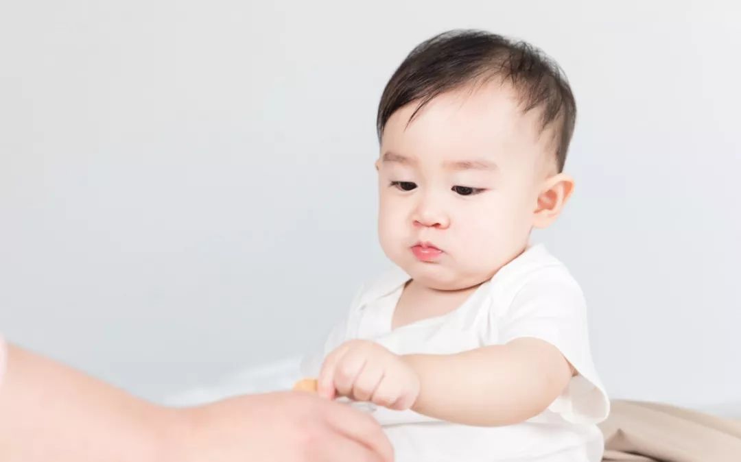 璇繜瀹濆疂璁粌鏈烘瀯,璇繜瀹濆疂璁粌宸ュ叿