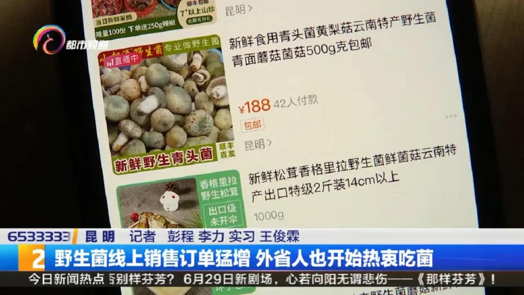 云南菌子交易市场直播,专门卖菌子直播