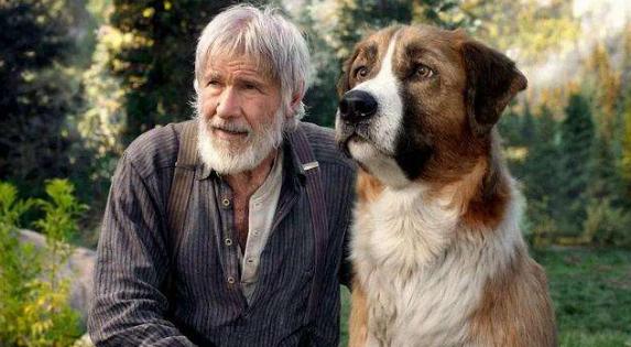 野性的呼唤里面的巴克是什么品种,野性的呼唤巴克2020完整版免费