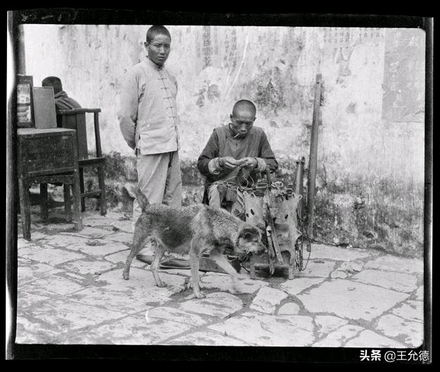 柴犬神犬,中华神犬