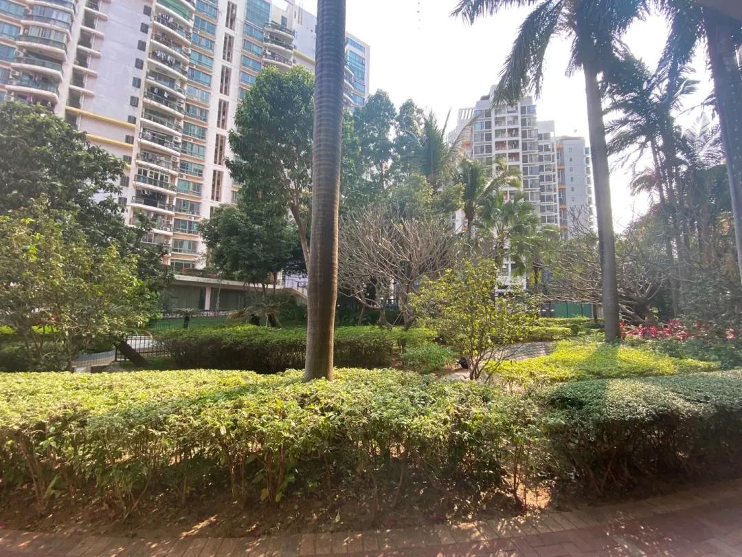 八大录取率名列前茅的二梯队石厦学校,学区房500万起