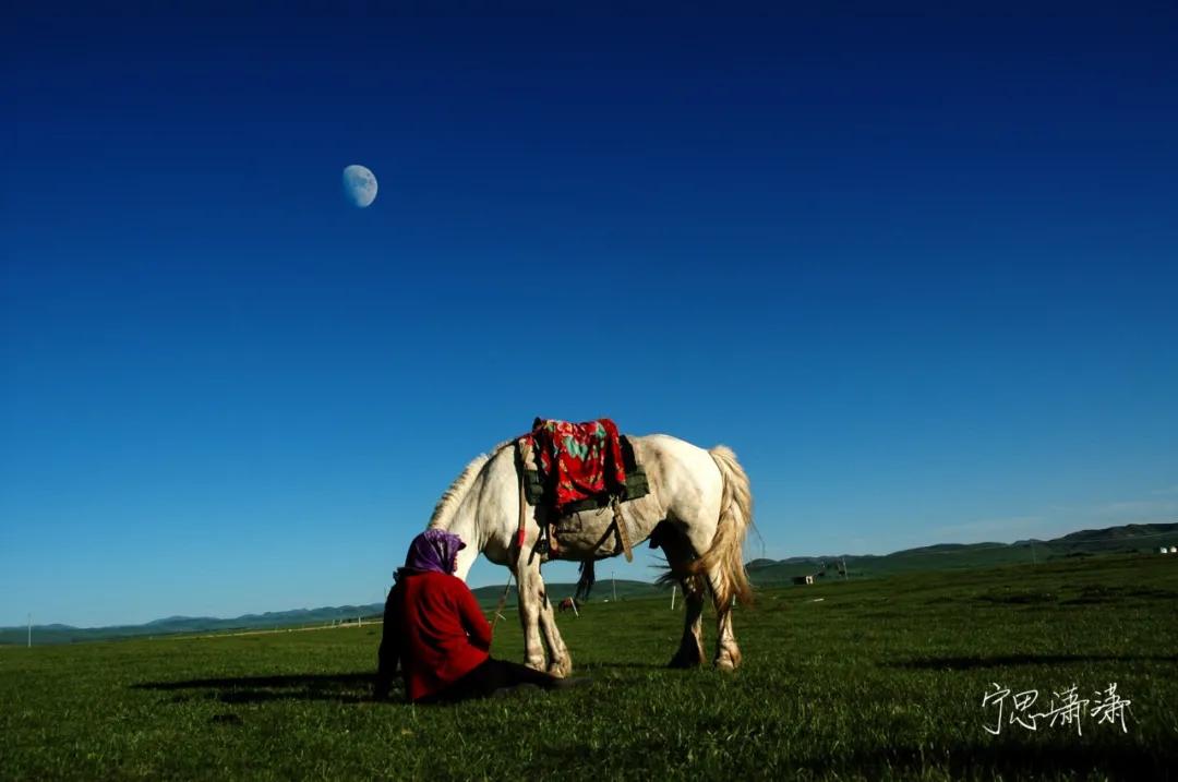 学摄影没多久买个什么相机中等的,初级学摄影买什么相机