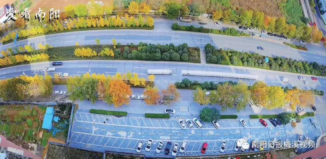 爱看南阳㉘初冬·暖阳依旧