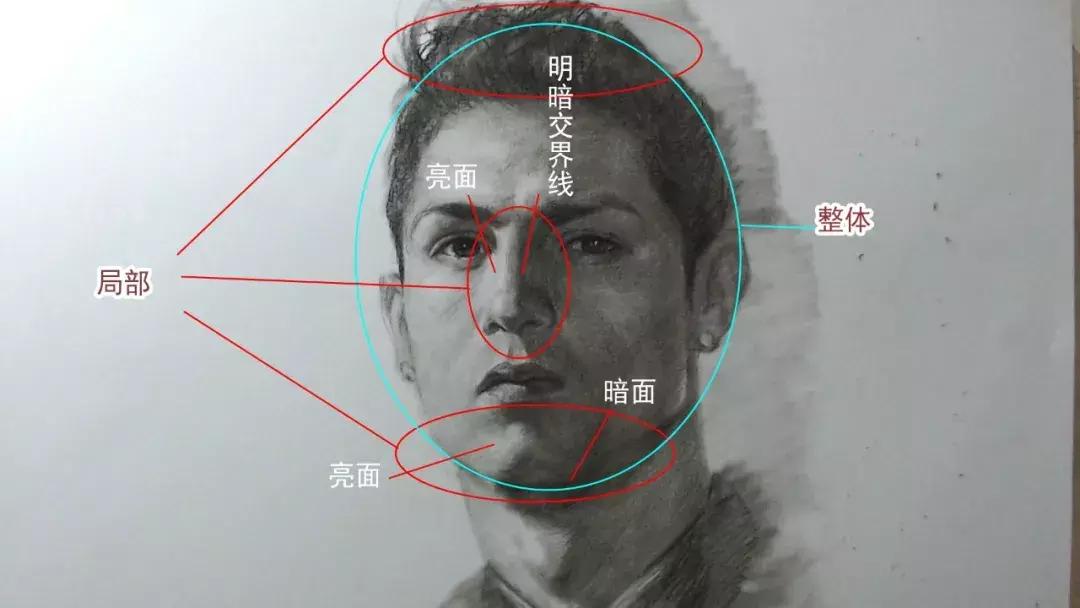 明暗调子素描怎么画,素描明暗面怎么和灰面过渡自然