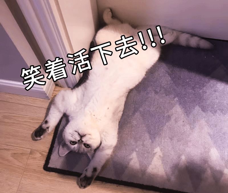 叶檀股票大讲堂,叶檀股票投资思维