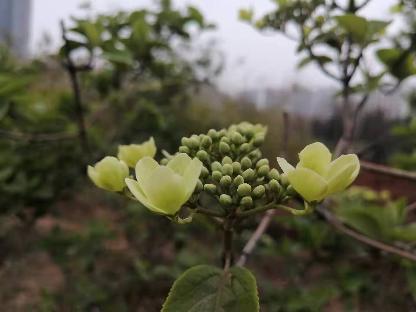 突破层级用什么方法,语文排序题秒杀技巧