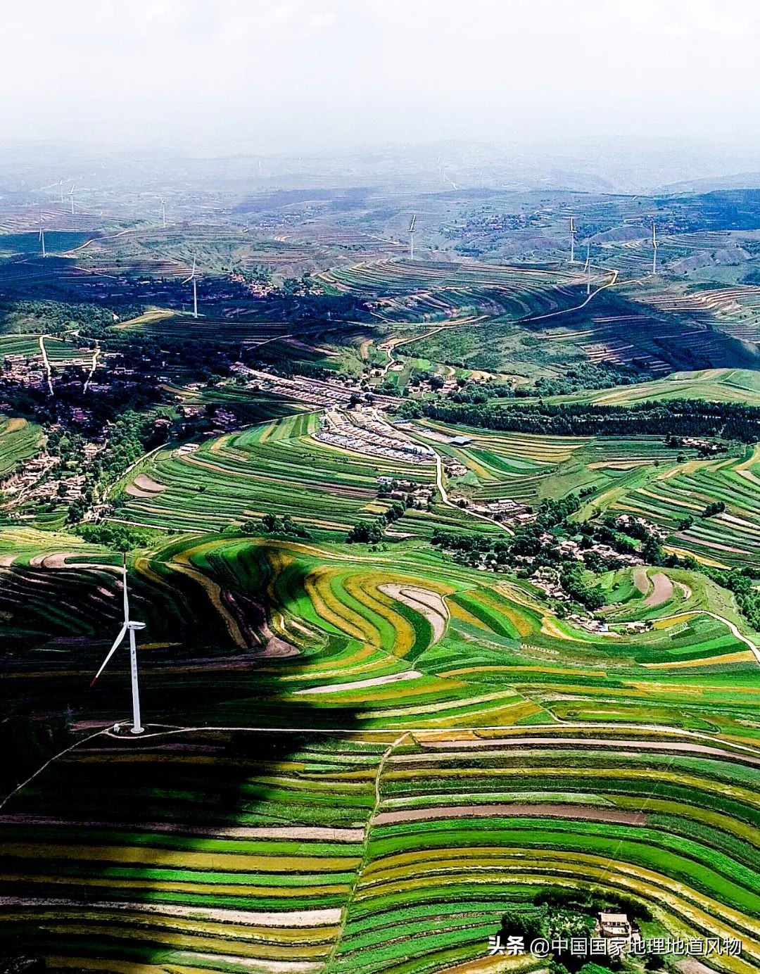 中国薯都地址在哪里,中国薯都为什么是定西