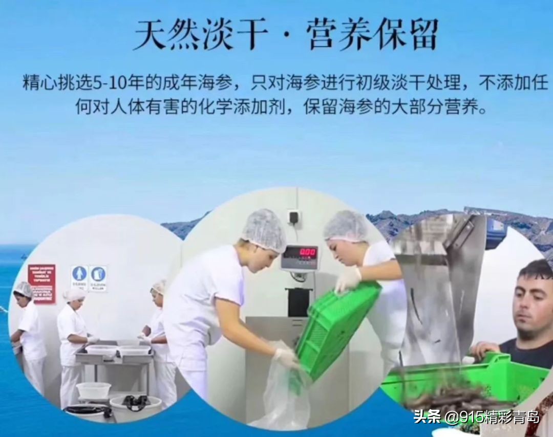 中国最好的海刺海参,黄金刺参西沙群岛深海纯野生海参