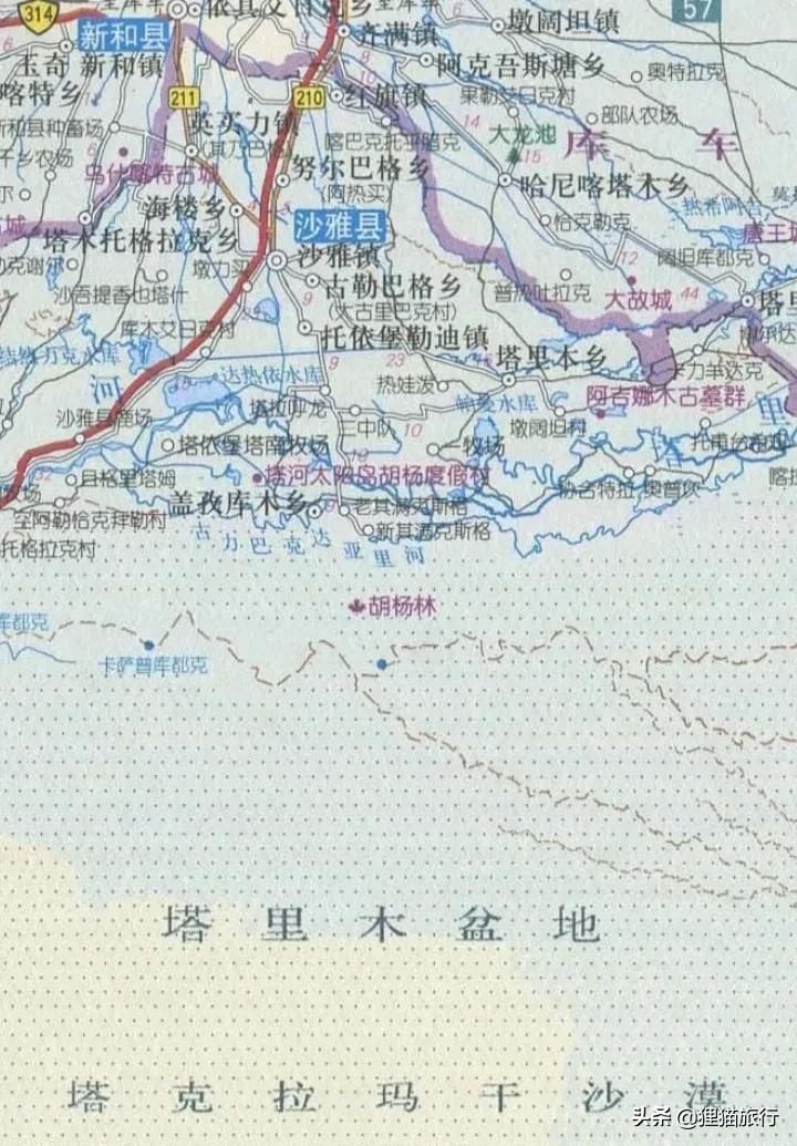 沙雅胡杨林自然保护区,新疆沙雅胡杨林介绍