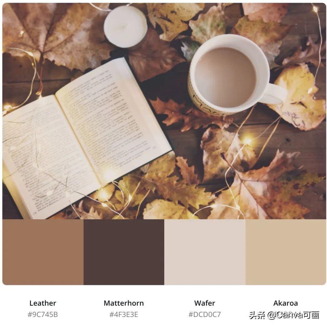 秋天配色插画秋高气爽,秋季高清插画