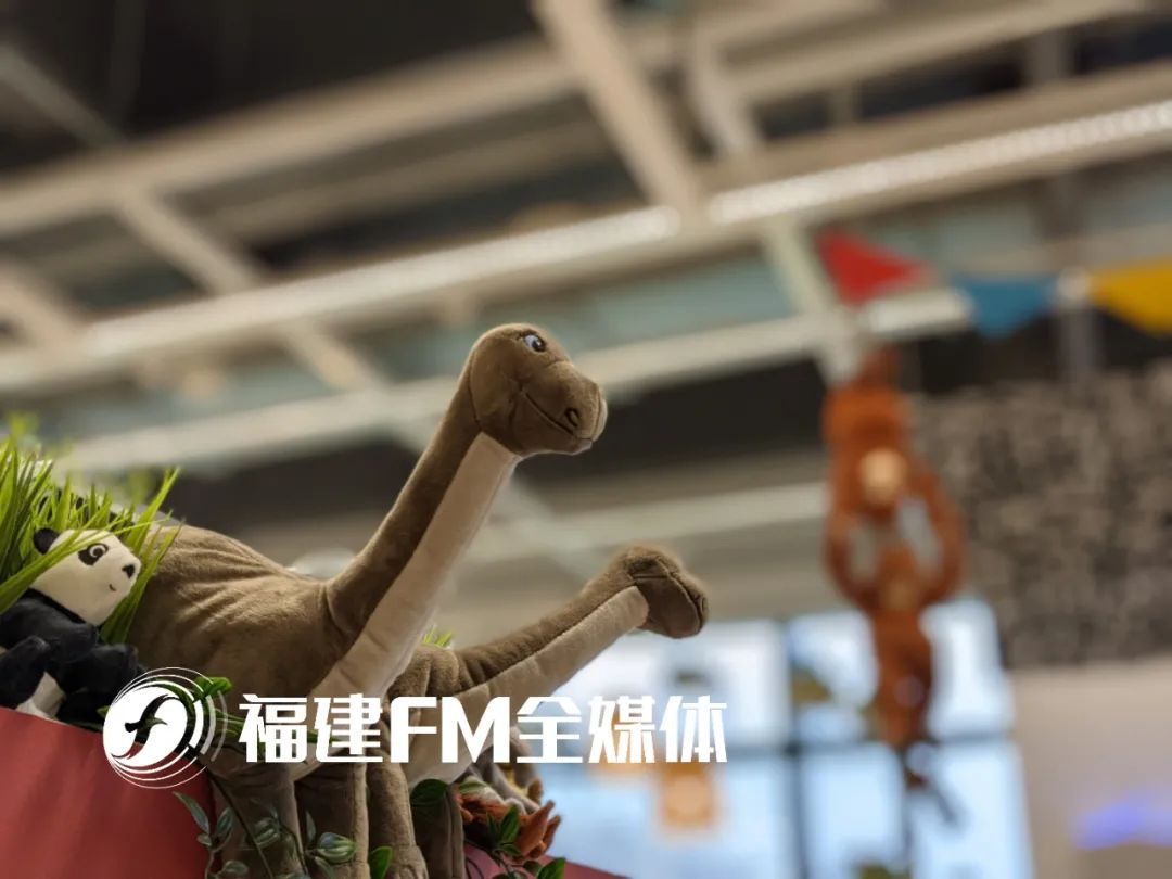 福州宜家怎么逛,福州宜家小朋友一日游