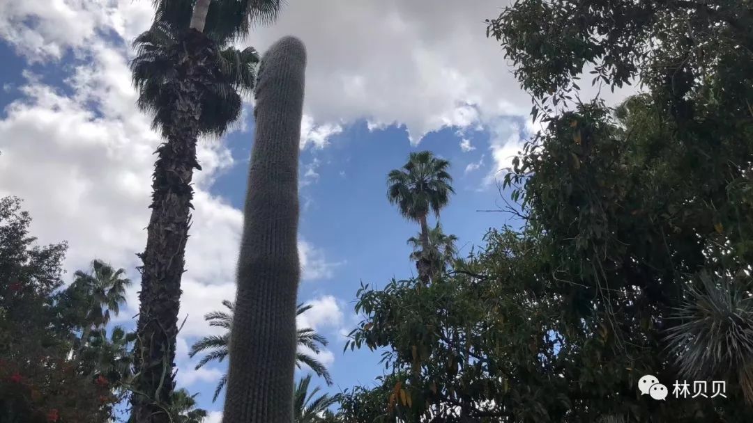 摩洛哥10天,摩洛哥12天瘦5斤减肥成功案例