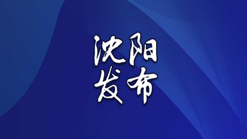 ktz开头的火车有什么区别,沈铁客流最新消息
