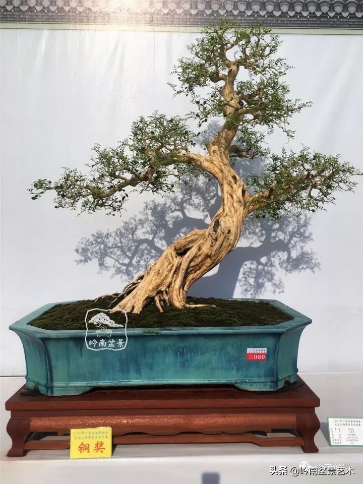 骞哥涔呬箙鐢滅敎铚滆湝,骞哥涔呬箙