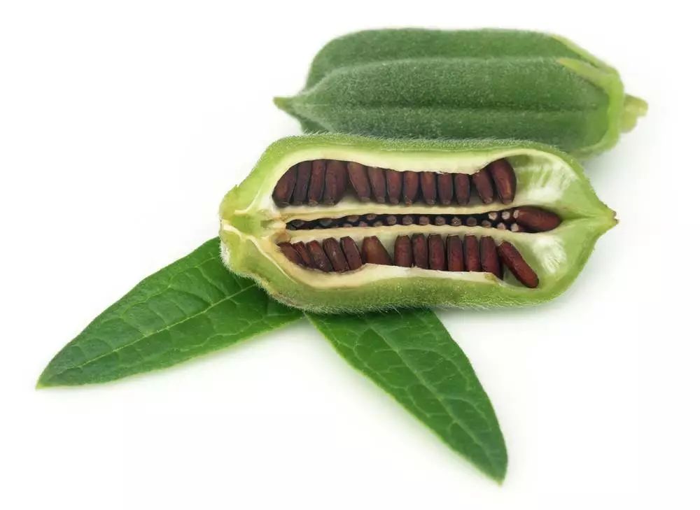 纯正石磨芝麻酱无添加,哪里能买到纯正芝麻酱