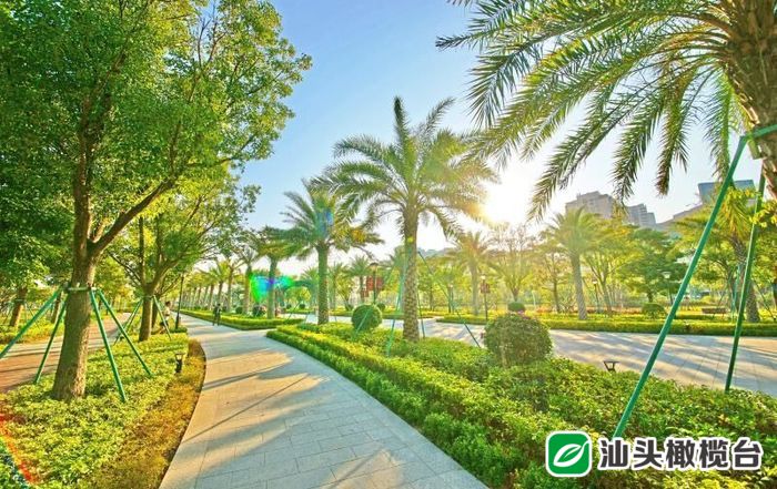 龙湖区：今年干好这七件事以优异成绩庆祝中国*产党共**成立100周年