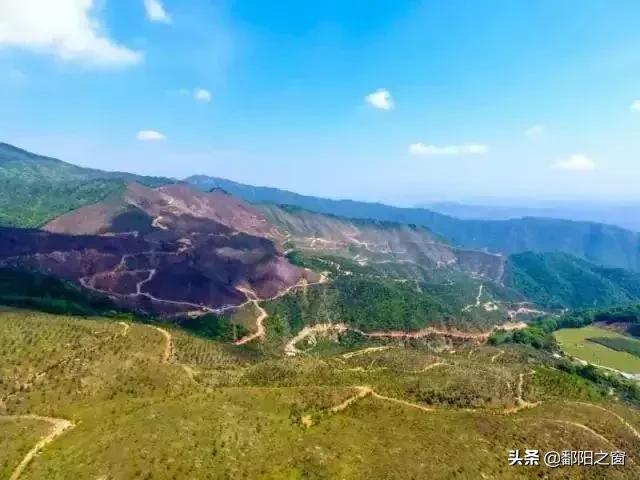 甯備簳椋庢儏杩樻槸甯備簳椋庡厜,甯備簳姘旀伅椋庢櫙