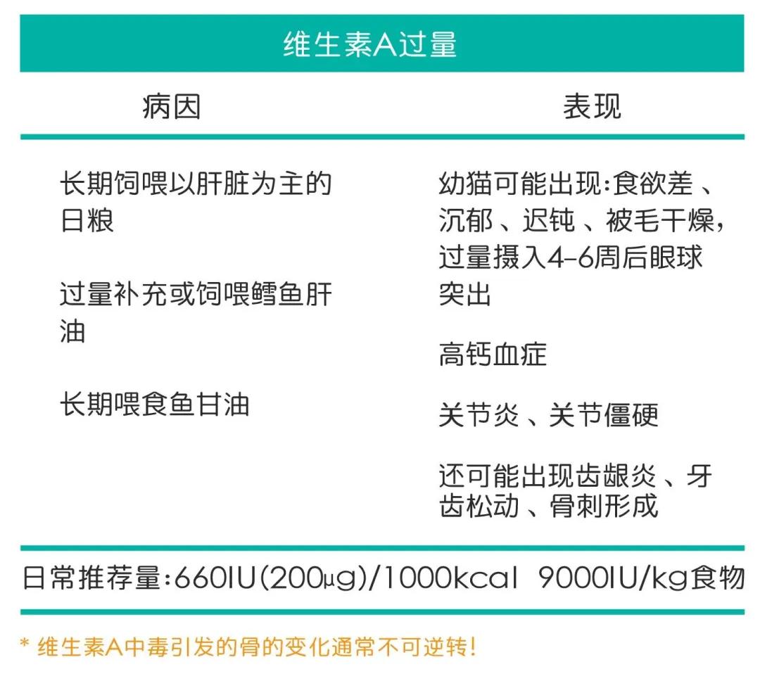 猫咪维生素b补多了有什么坏处,猫咪维生素补多了会怎样
