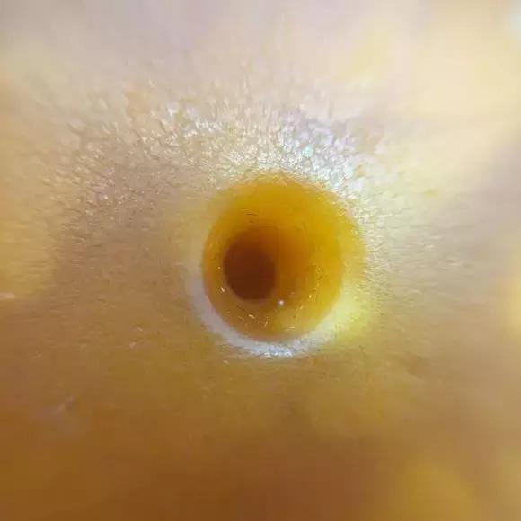 藏传文玩老塑料珠子,文玩老珠