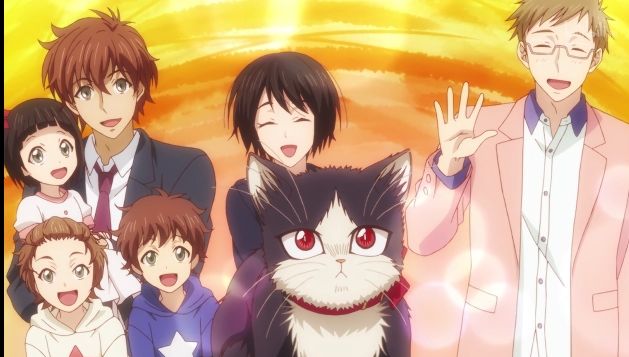 《同居人是猫》一月不容错过的治愈番网友：又想骗我养猫