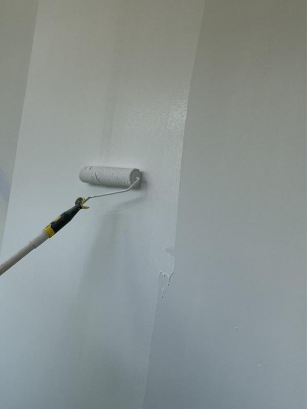 刚装好的房子买家具怎么选,新房装修一等品乳胶漆