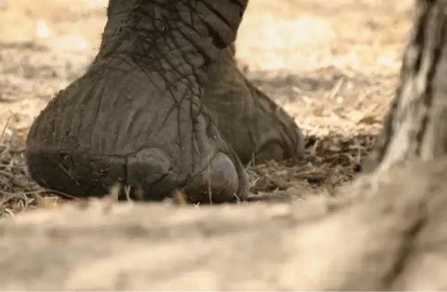 瞬变的方法,瞬变变装教学