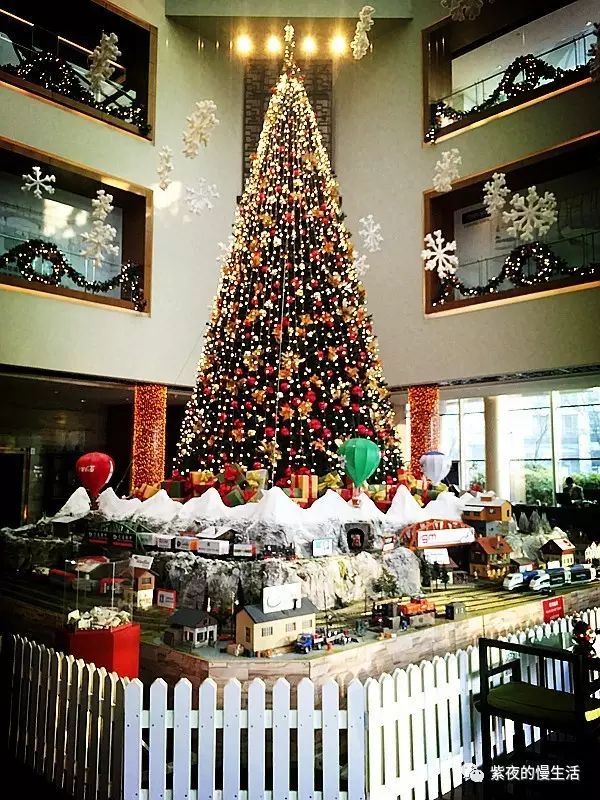 北京希尔顿酒店具体地址,北京通州北投希尔顿酒店