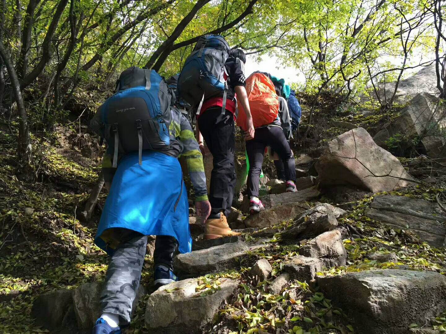 小米手电筒5000毫安,小米手电筒极蜂强光