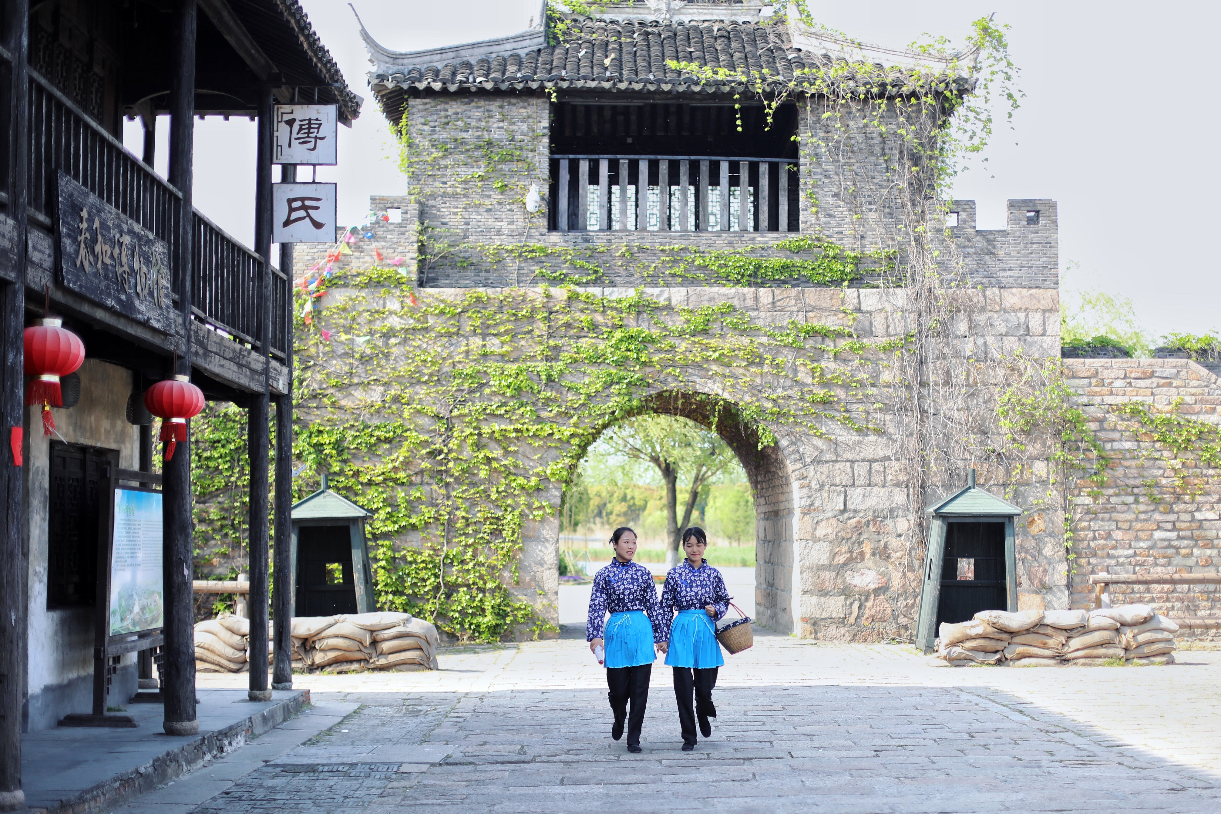 常熟沙家浜一日游结束,常熟水上花田沙家浜