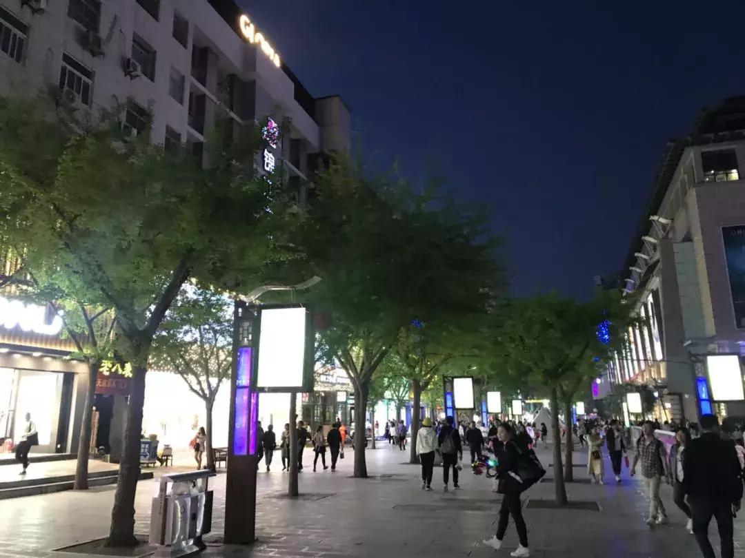 真实的骡马市,关于骡马市的记忆