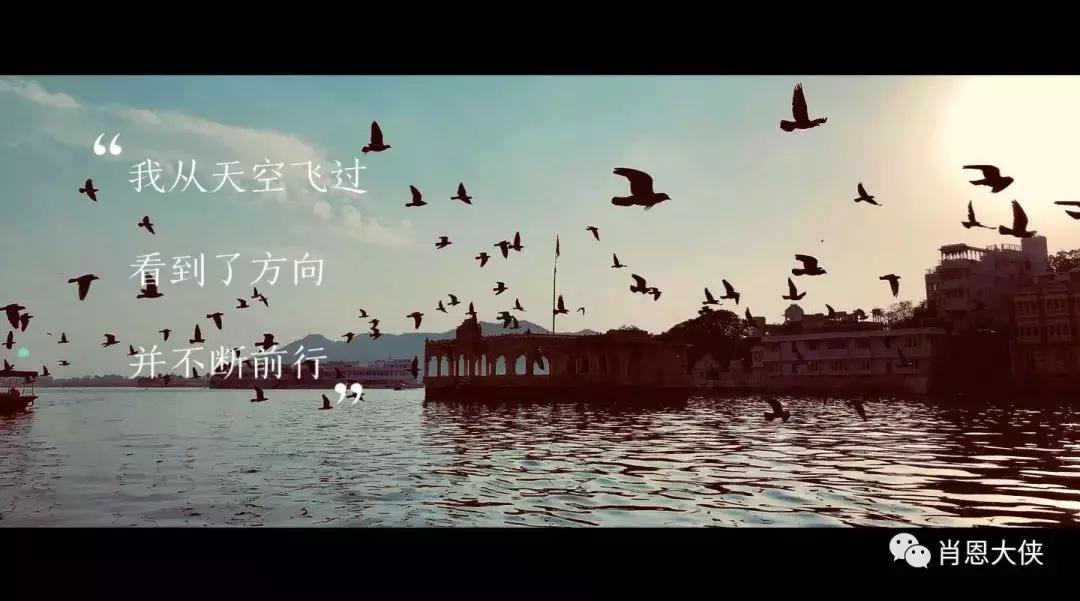 一个非典型的投资人的崛起,非典型投资者的感受