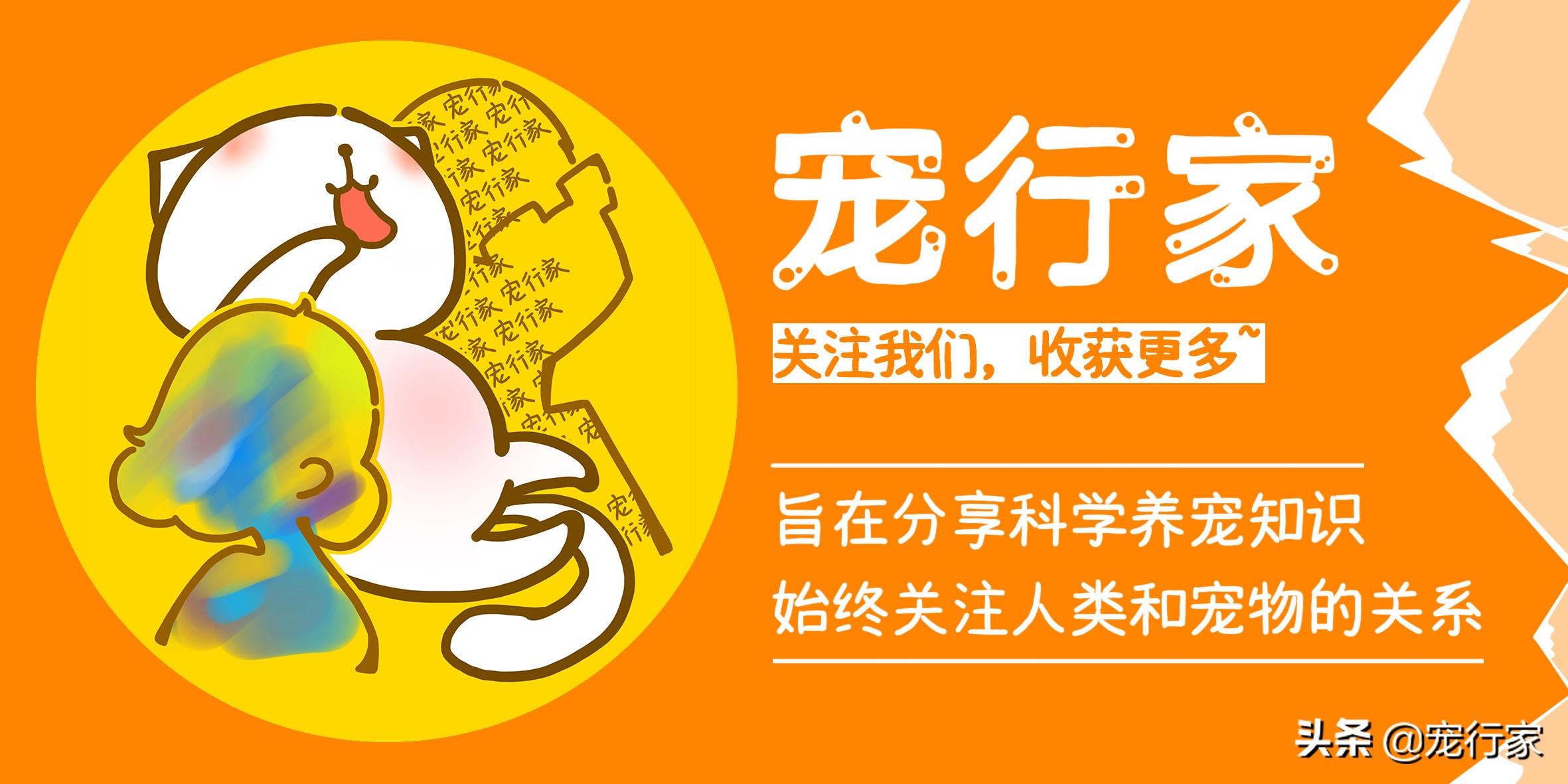 为什么廉价猫粮特别能吃,配方好的猫粮