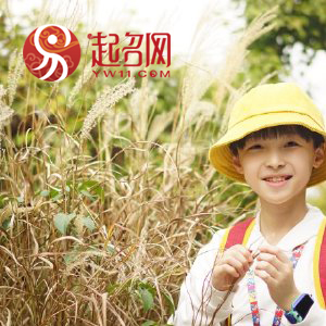 有诗意又儒雅的男孩名字,清冷孤傲男生名字二字