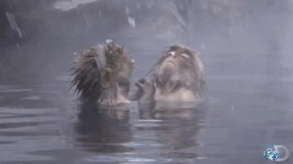 没有孵过混堂的上海冬天，是不完整的！