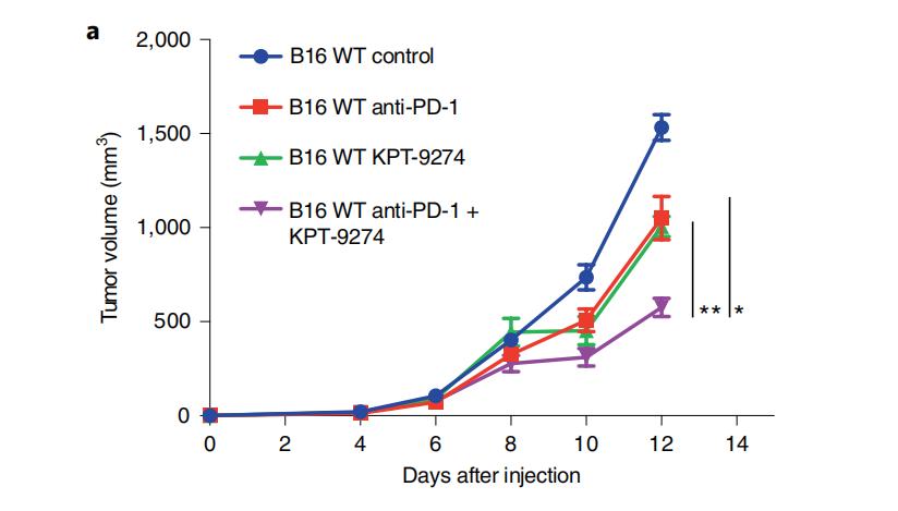 化疗联合pd-1免疫治疗,肿瘤免疫与代谢疗法