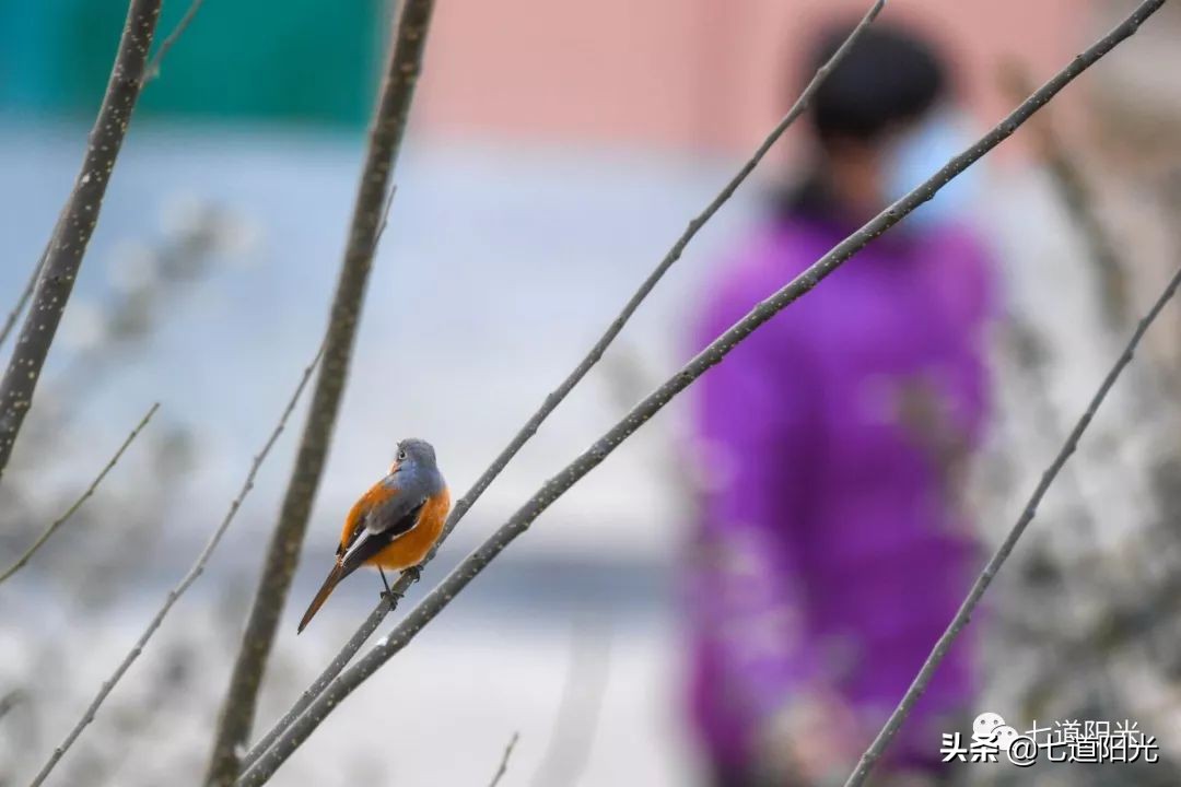 实拍银川的街景,银川市实景