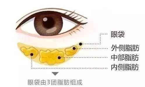 56岁老戏骨新戏开场即火,曾经眼袋都有戏的他,这次好像不一样?